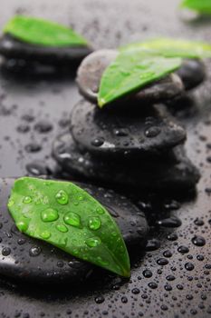 wellness concept with zen stone and green leafs