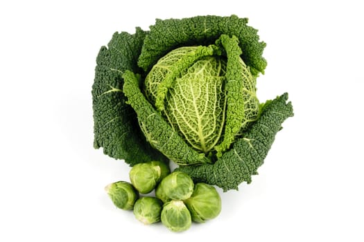 Single fresh ripe green cabbage and pile of sprouts on a reflective white background 