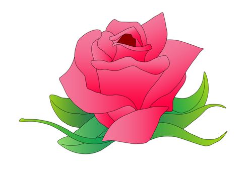 Hand drawn illustration of a pink rose with green leaves.