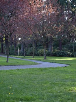 A bend in a walkway through a park in the late afternoon.