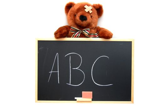 teddy with blackboard isolated on white background
