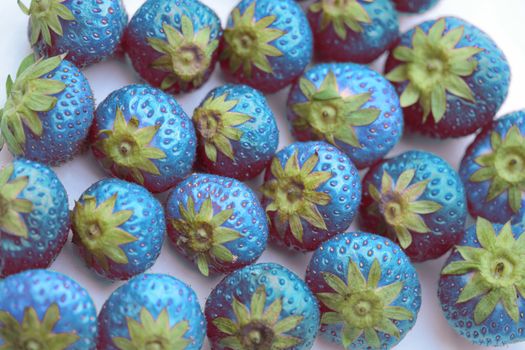 A group of blue berries: blue strawberries