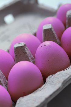 A carton with purple eggs for easter