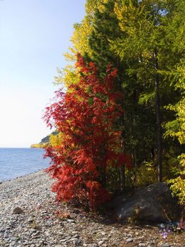 Autumn on lake Baikal