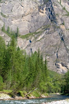 Mountain panorama: rock, river and forest 
