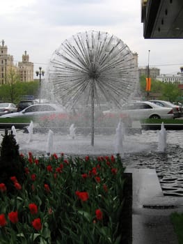 Cute fountain like the round dandelion near the bed of tulips