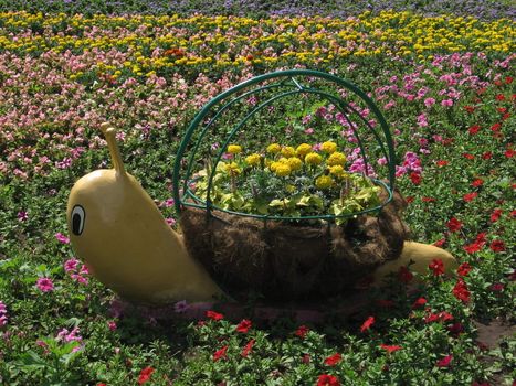 Cute snail with yellow flowers creeps at the flowerbed