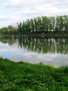 Green summer landscape with a lake in front