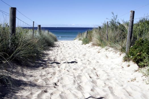 Sandy Path to the Beach - Sydney Australia