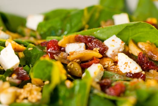 plate of fresh colorfull spinach salad close up