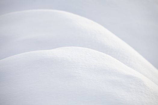 curves in the fresh snow