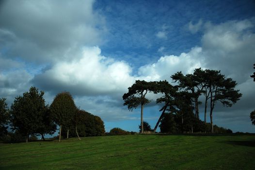 Autumn Fairwater park with blue sky, white clouds