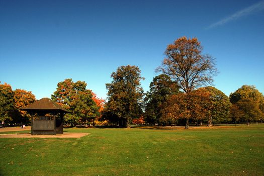 autumn london park with bower, grass, and blue sky