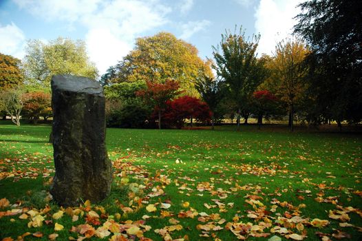 Autumn cardiff park with leaves, grass and trees