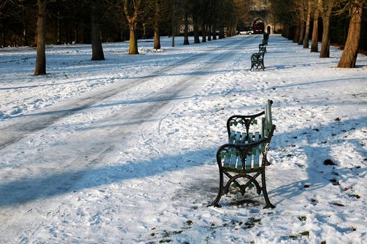 snowy cardiff park with bench, tree and pathi, horizontally framed picture