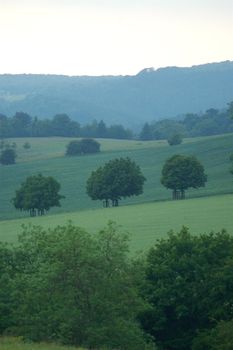 View across the Peak District focussing on three trees (mid-shot) depicting a typically British countryside with many green fields of all shades