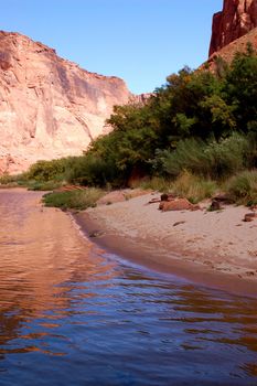 Curve in the Colorado River, in the Grand canyon, from the river, featuring a wall of rock on one side and a sandy beach on the other, with green trees breaking up the shot