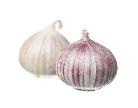 Garlic isolated on white background