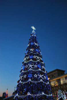 Main Christmas Tree on the Square of Freedom in the Kharkiv City, Ukraine