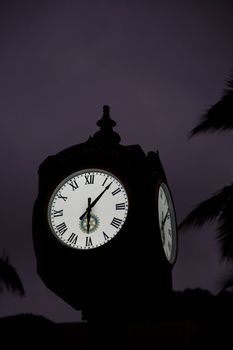 Clock in the night, tropical park