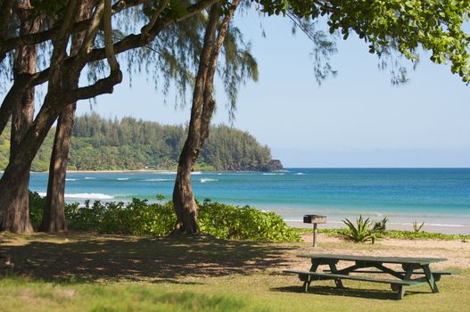 Inviting Tropical Park - Halalei Bay, Kauai, Hawaii