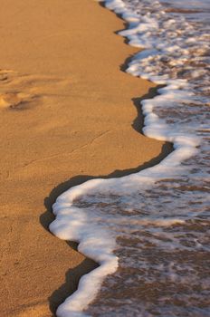 Beach Shoreline in the Early Morning Sun,