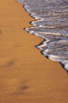 Beach Shoreline in the Early Morning Sun