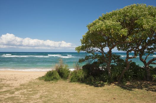 Inviting Tropical Shore on the Kauai Coast.