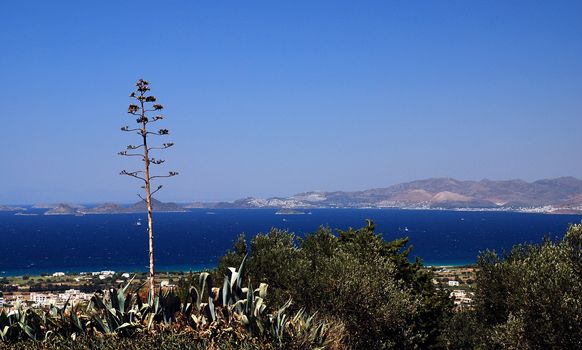 Greek islands, sea and agave americana 