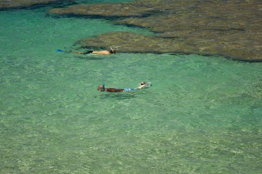 Snorkelers in the Clear Tropical Waters on a Relaxing Summer Day
