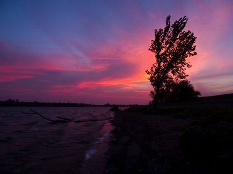 Sunset with wind on the lake and in the trees.