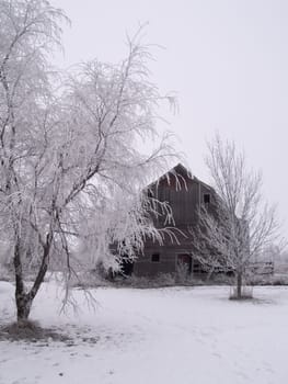 A December image of a rural South Dakota farm.
