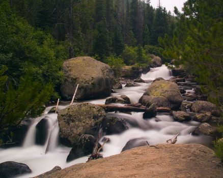 The white rushing St. Vrain River racing through the green forests of Rocky Mountain National Park.