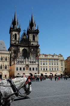 Heads of horses and a cathedral in Prague
