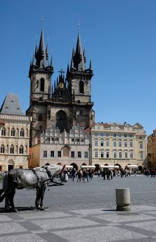 Cathedral on the Old town square and a hors in front of it.