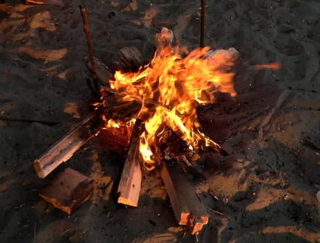 Campfire on land