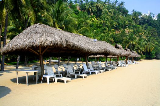 Row of beach cabanas with cairs next to palm trees
