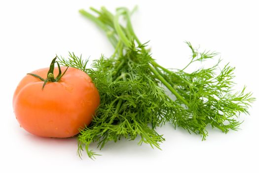 juicy green dill and red tomato on a white background