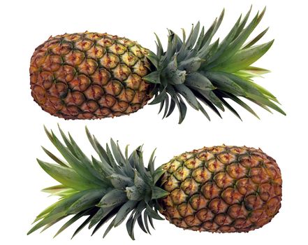 Two pineapples isolated against white background