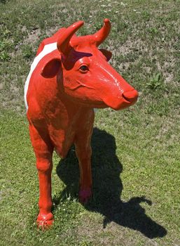 Portrait of a red and white cow standing on a meadow