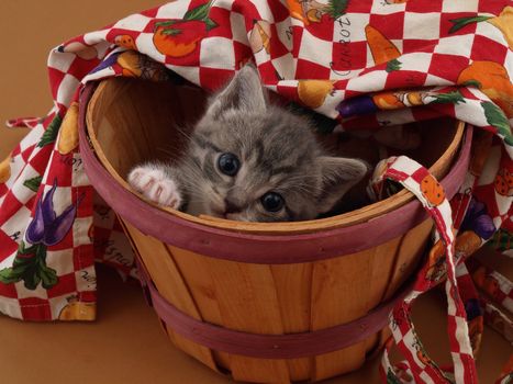 A small grey kitten playing hide and seek in a bushel basket.