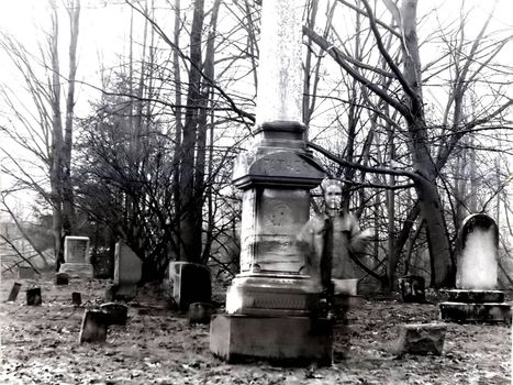 The lonely, soulfull look of a female ghost in a cemetary-black and white in an almost high key for effect.