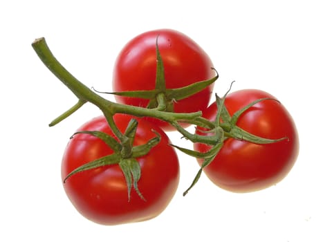 three tomatoes on white backgroun