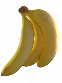 three isolated bananas close up