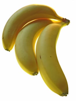 three isolated bananas close up