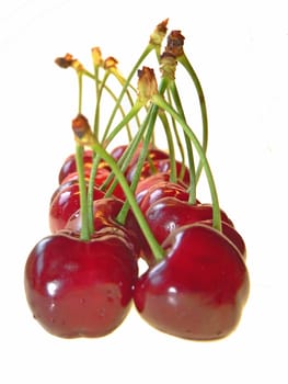 a few cherries on white background