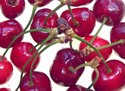 a few cherries on white background