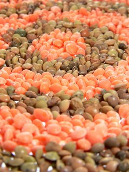 circles of diffenet colors lentils