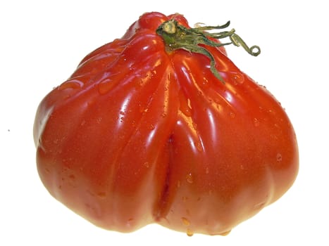 red wet tomato close up