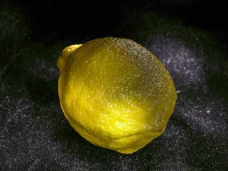 One bright lemon on black velvet